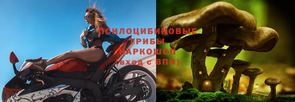 крисы Белокуриха