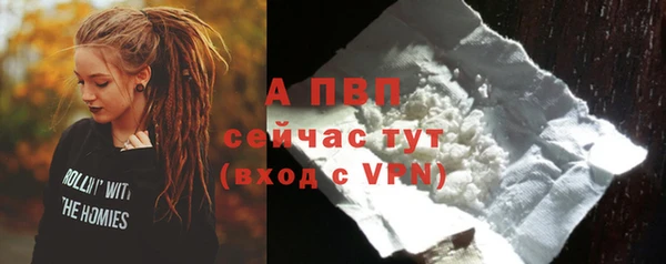 крисы Белокуриха