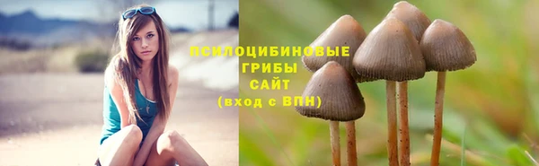 мескалин Белоозёрский