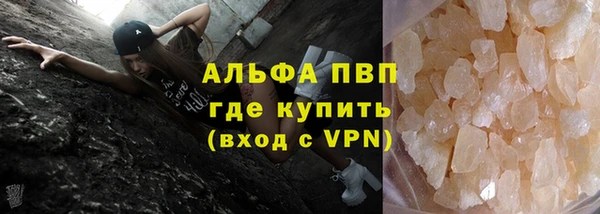 крисы Белокуриха