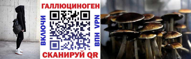 blacksprut вход Егорьевск Псилоцибиновые грибы прущие грибы как найти закладки